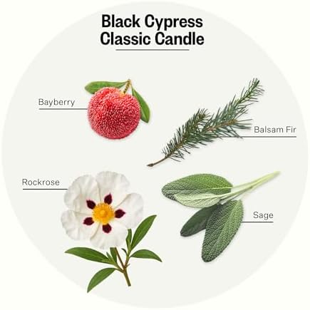 Apotheke Signature Scented Candles for Home, Black Cypress - 10.5 Oz - Image 2