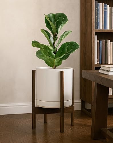 D'vine Dev Ceramic Pot with Walnut Wood Stand, Oatmeal, 10 in, 55-B-X-8 - Image 6
