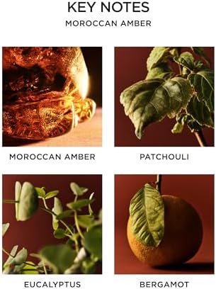 NEST New York Reed Diffuser, Moroccan Amber - 5.9 fl oz - Fragrance for Up to 90 Days - Reusable, Refillable Glass Holder - Includes 8 All-Natural Reed Sticks - Flame Free - Image 4