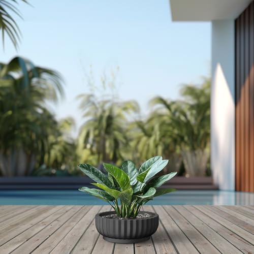 Kante Accent Round Shallow Black Concrete Planter 14.6" Dia, Outdoor - Image 4