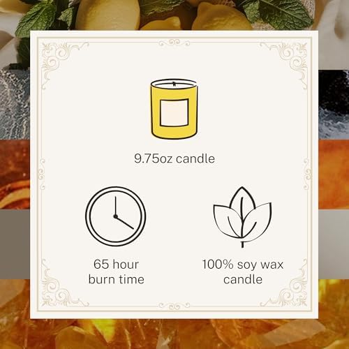 Hotel Lobby Capri Candle – Hand-Poured 9.75oz 100% Soy Wax with Italian Citrus, Jasmine, Amaro Liqueur, Sea Salt, and Mineral Amber – Paraffin-Free, Infused with Essential Oils, 65-Hour Non-Toxic Burn - Image 4