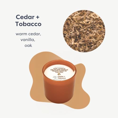 Calyan Wax Co. Dignity Series Cedar & Tobacco Scented Candle - 35 Hour Burn - Image 2