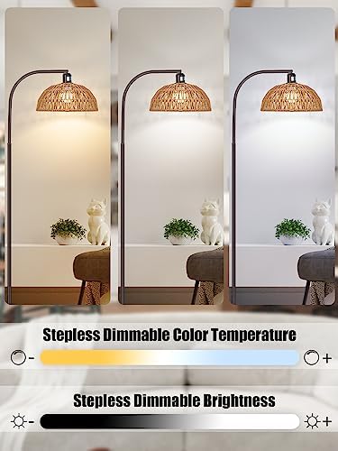Brilvibera Boho Floor Lamp with Remote and Dimmable Bulb - Image 2
