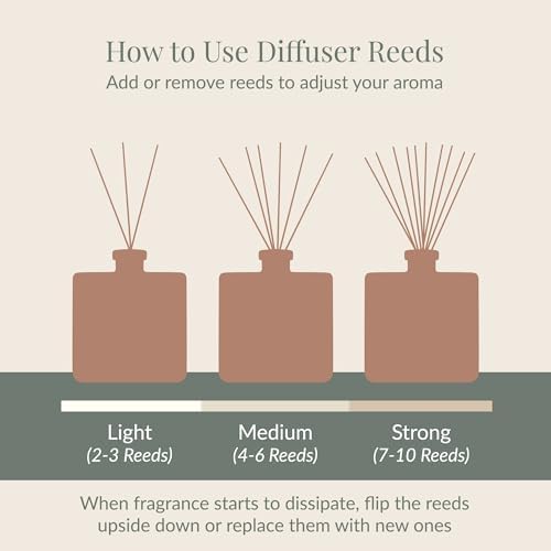 Archipelago Botanicals Charleston Reed Diffuser, 7.6 fl oz - Image 4