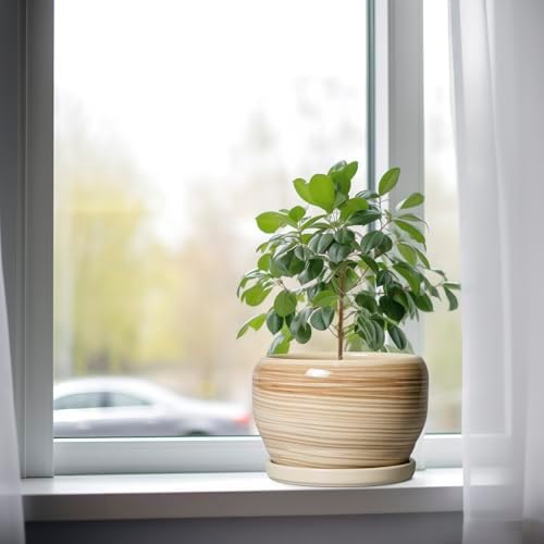 SQOWL Ceramic Planter- 8 Inch Plant Pot Indoor Outdoor, Round Planter with Drainage Hole and Plant Saucer, Decorative Modern Ceramic Flower Pot, Living Room Decor, Garden Gifts, Yellow - Image 4