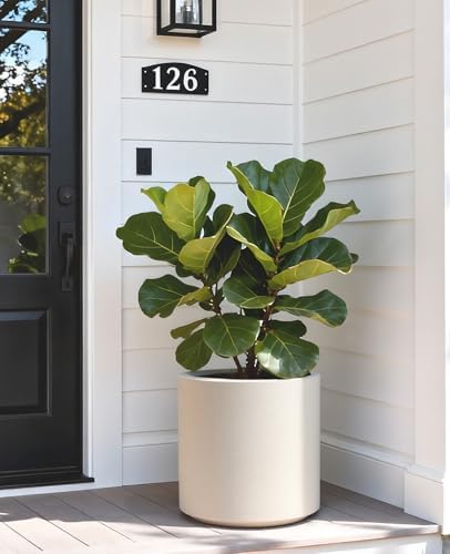 homenote 13.2 Inch Large Plant Pot with Drainage Plug for Indoor Use - Image 3