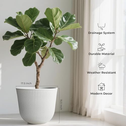 Worth Garden Plastic Round Large Planters, Set of 2 White Plant Pots - Image 3