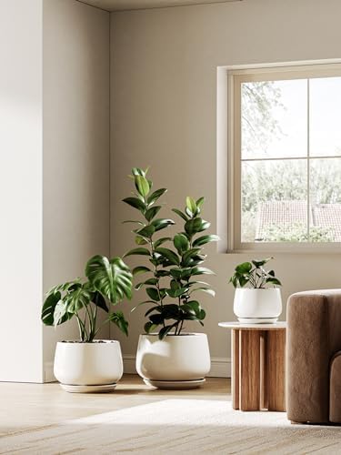 LE TAUCI Ceramic Planter, 12 Inch, Large Plant Pot, Indoor Plant Pot, White - Image 3