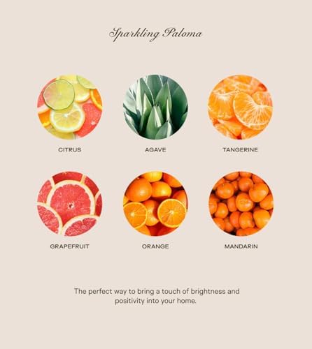 | Huge 10lb Luxury Candle, 150oz, Up to 500 Hours | Sparkling Paloma | Citrus, Agave, Tangerine | Natural Coconut-Soy Wax | by Big Ass Luxuries | As Seen On Shark Tank - Image 3