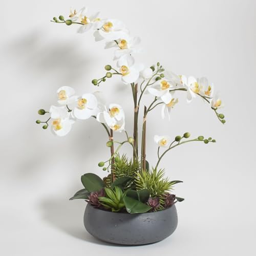 CG Hunter, Faux Orchid Plant w/Succulents, 24 in, Grey, Home Decor by CGHunter