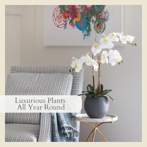 CG Hunter, Faux White Orchid Plant, 25 in, Grey, Home Decor - Image 5