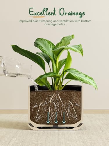 LE TAUCI 10 + 12 Inch Ceramic Plant Pots, Set of 2, Black - Image 5
