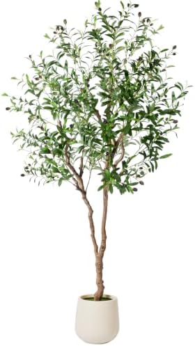 6FT Faux Olive Tree with Decorative Planter, Olive Trees Artificial Indoor with Textured Trunk, Silk Leaves and Olive Fruits, Fake Plants for Living Room, Entryway and Office Decor by NOVAROOT