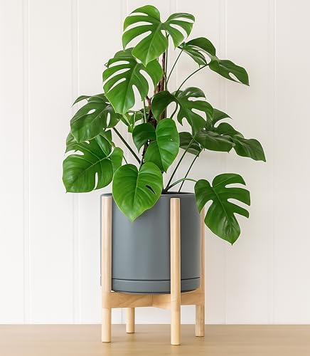 D'vine Dev Ceramic Pot with Natural Wood Stand, Grey, 12 in, 55-B-J-3 - Image 5