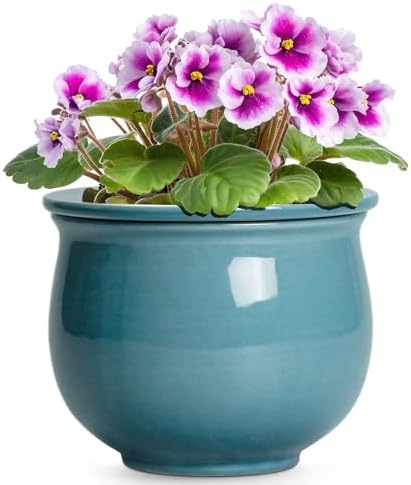 African Violet Pots 6 Inch, Ceramic Self Watering Pot with Absorbent Inner Planter, African Plant Pots for Indoor Plants, Round Flower Pot, Bedroom Decor, Gifts for Plant Lover, Glaze Blue by Teagas