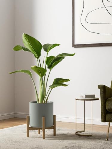 LE TAUCI 10+8+6 Inch Ceramic Pots for Plants, Indoor Planters with Drainage Hole and Plug, Modern Cylinder Flower Pots Set of 3 for Living Room and Bedroom, Glossy, Mist Gray - Image 5
