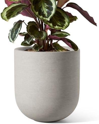LE TAUCI 8 Inch Ceramic Plant Pot, Indoor Planter, Neutral Gray by LETAUCI