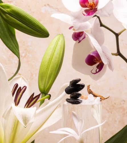 | Huge 10lb Luxury Candle, 150oz, Up to 500 Hours | Sea Salt & Orchid | Sea Salt, Jasmine, Lily | Natural Coconut-Soy Wax | by Big Ass Luxuries | As Seen On Shark Tank - Image 2