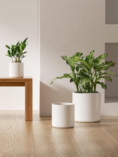 LE TAUCI 10+8+6 Inch Ceramic Pots for Plants, Indoor Planters with Drainage Hole and Plug, Modern Cylinder Flower Pots Set of 3 for Living Room and Bedroom, Satin, White - Image 4
