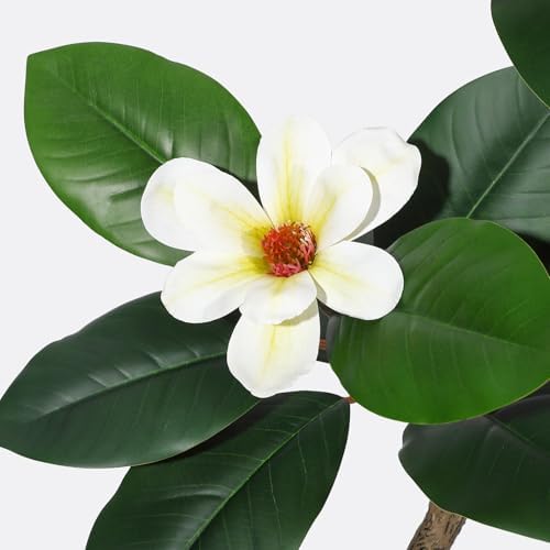 5FT Tall Lifelike Artificial Magnolia Tree with 7 Pcs Magnolia Flowers in White Planter Pot, Rubber Tree Faux Plants Indoor Artificial Plants & Flowers for Home Office Living Room Decor - Image 5