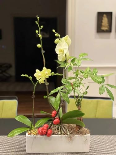 WGVI Long Rectangle Ceramic Planter Vase in White 12" x 4" x 4"H, Block Rectangular Terrarium Box Pot, Flower Arrangement, Table top Centerpiece, Home Decor Organization Storage Container, 6 Pcs. - Image 7