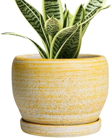 SQOWL Ceramic Planter - 6 Inch Plant Pot Indoor with Drainage Hole and Saucer, Decorative Ceramic Flower Pot Outdoor, Round Succulent Planters, Home Office Bedroom Decor, Birthday Gifts, Yellow by SQOWL