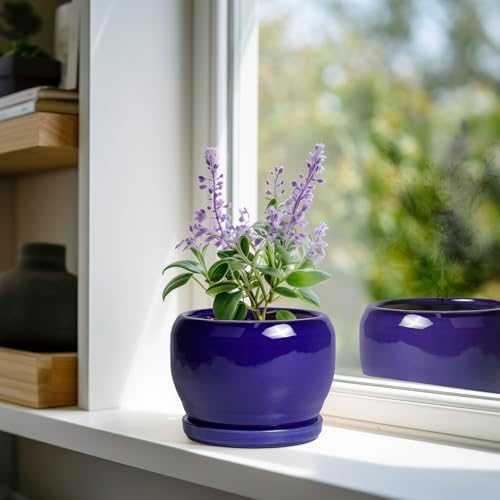 SQOWL Ceramic Planters for Indoor Plants - 6 Inch Plant Pot with Drainage Hole and Saucer, Round Small Planter, Modern Decorative Flower Pot Outdoor, Living Room Decor, Garden Gifts for Women, Blue - Image 2