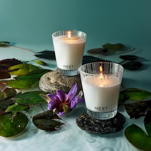 NEST New York Scented Classic Candle, Forest Rain - 8.1 oz - Up to 60-Hour Burn Time - Reusable Glass Vessel - Image 6