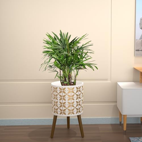 10 Inch Planter with Stand, Modern Plants Pot for Indoor Plants with Legs, Large Planter Pot with Drainage Holes for Outdoor,White/Gold - Image 5