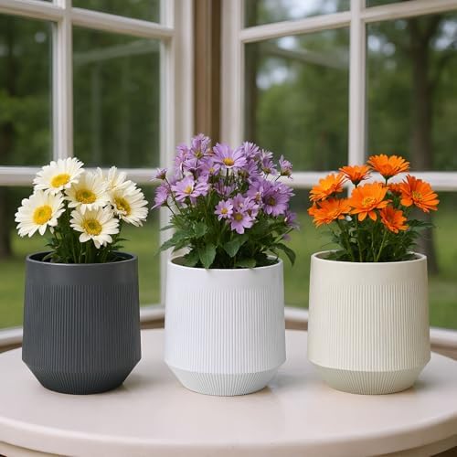 Plant Pots，Set of 3 Plastic Pots for Indoor Plants,Flower Pots Outdoor Planters with Drainage Hole and Seamless Saucer, White,Milky-Yellow,Gray - Image 6