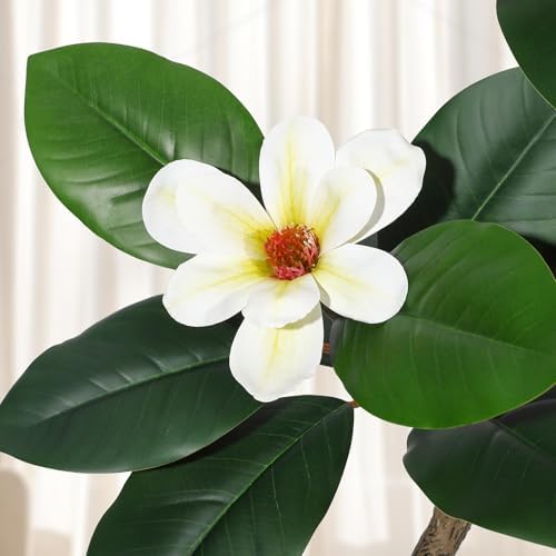 7FT Tall Lifelike Artificial Magnolia Tree with 8 Pcs Magnolia Flowers in White Planter Pot, Rubber Tree Faux Plants Indoor Artificial Plants & Flowers for Home Office Living Room Decor - Image 5