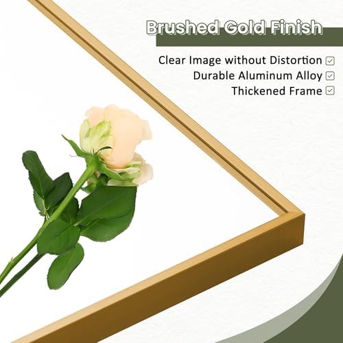 Dewfig Mirror Full Length, 64"X21" Floor Mirror, Rectangle Shape, Gold - Image 5