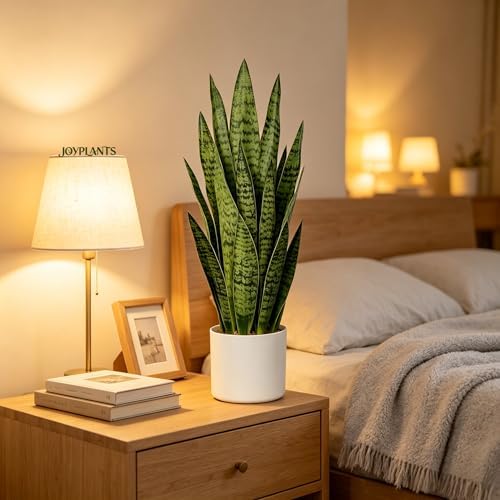 2.3FT Fake Snake Plant 27in Sansevieria Potted Plant in White Pot - Image 6