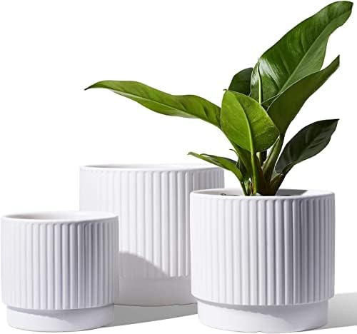 LE TAUCI Ceramic Pots for Plants, 8+6.7+5.5 Inch Plant Pots Indoor, Flower Pot with Drainage Holes, Medium Cylinder Planters for Indoor House Plants, Set of 3, White by LETAUCI