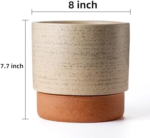 8 Inch Ceramic Self Watering Planter with Drainage Hole, Brush - Image 2