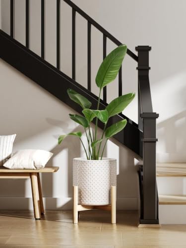 LE TAUCI 10+8+6 Inch Ceramic Pots for Plants, Indoor Planters with Drainage Hole and Plug, Raised Dots Cylinder Flower Pots Set of 3 for Living Room and Bedroom, Glossy, Arctic White - Image 4