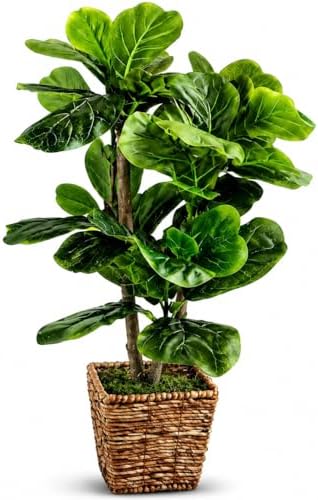 Fake Plant 3ft Faux Fiddle Leaf Fig Tree in Premium Woven Basket by LCG Florals, Fully Assembled, Real Wood Trunk, Artificial Indoor Plant for Living Room Décor, Fake Tree for Home Office Bedroom - Image 6