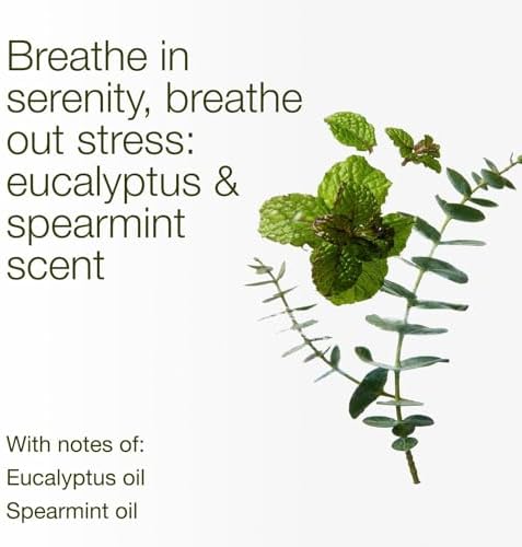 Bath & Body Works 3-Wick Candle, Eucalyptus Spearmint, 2 Pack - Image 3