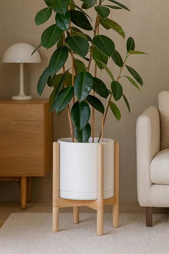 D'vine Dev Ceramic Pot with Natural Wood Stand, Oatmeal, 12 in, 55-B-J-8 - Image 7