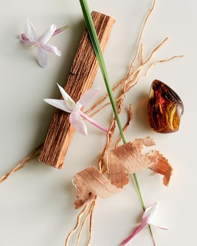 Maison Louis Marie - No.04 Bois de Balincourt Home Diffuser | Luxury Clean Beauty + Fragrance (8 fl oz | 250 ml) - Image 5