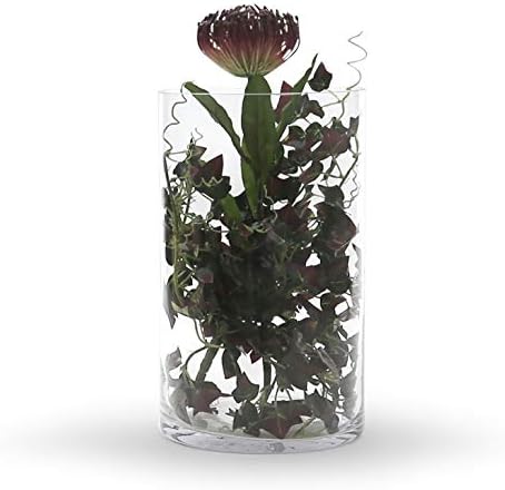 WGV Cylinder Vase Bulk, Width 7", Height 12", Clear Wide Large Diameter Flower Glassware, Floral Container, Planter Terrarium for Wedding Party Event, Home Accent Decor, 4 Pieces - Image 2