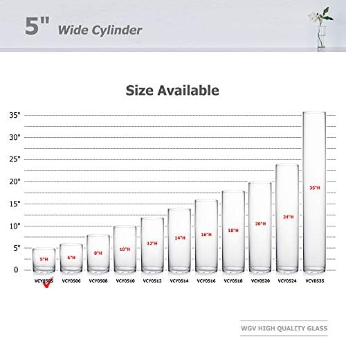 WGVI Thick Weighted Clear Right Cylinder Glass Vases, 5" W x 5" H, Equilateral Cylinder Glass Candle Holders Flower Arrangement Centerpieces Storage Container Brush Pen Holder, Bulk Wholesale, 12 Pcs - Image 4