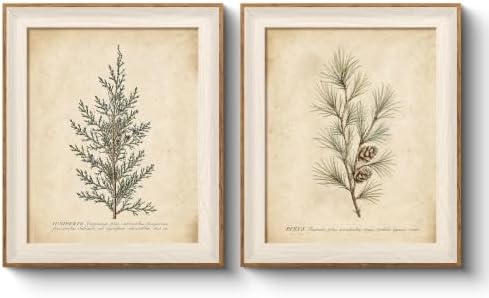 VIYYIEA Framed Vintage Christmas Pine Botanical Wall Art Set, 10x12 Inch by VIYYIEAART