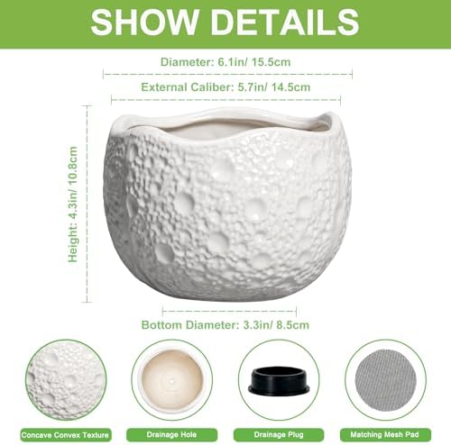 Ceramic Pots for Plants - 6 Inch Plant Pot for Indoor Outdoor, Decorative Orchid Pots with Drainage Hole, Unique Round Modern Planters, Home Decor, Gifts for Plant Lovers, White - Image 2