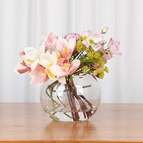 WGV Bowl Glass Vase Bulk, Diameter 8", Height 6", Open Width 5", (Multiple Sizes Choices) Clear Bubble Planter Terrarium Fish Bowl for Wedding Event Home Decor, 6 Pieces (VBW0008A) - Image 6