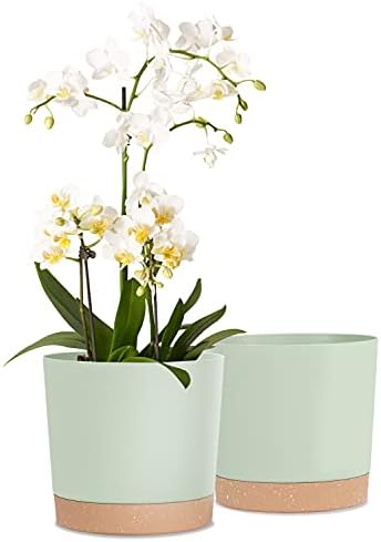 kubvici Indoor Plant Pots Set of 2 Planters 8 inch Plastic Planter with Hole & Saucer Modern Decorative for Outdoor Garden Home (Green, 8 inch) by kubvici