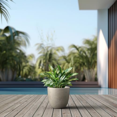 Kante Small Round Bowl Weathered Concrete Planter 10" Dia, Outdoor - Image 3