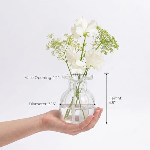6-Piece 4.5" Ruffled Ribbon Small Vases for Flowers Hand-Blown Glass Vases - Image 6