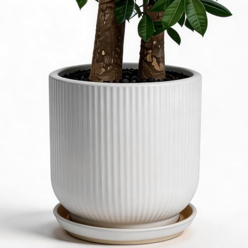 Deep Dream 12 Inch Ceramic Pots for Plants, Heavy Plant Pot for Indoor Outdoor Plants, Large Plant Pot with Drainage Hole and Saucer, Modern Tall Flower Pot, Gifts for Plant Lovers, White by DeepDream