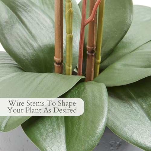 CG Hunter, Faux White Orchid Plant, 25 in, Grey, Home Decor - Image 4